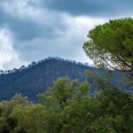 Bomberos controlan incendio en Peñíscola que afectó a 34 vehículos cerca de observatorio del eclipse