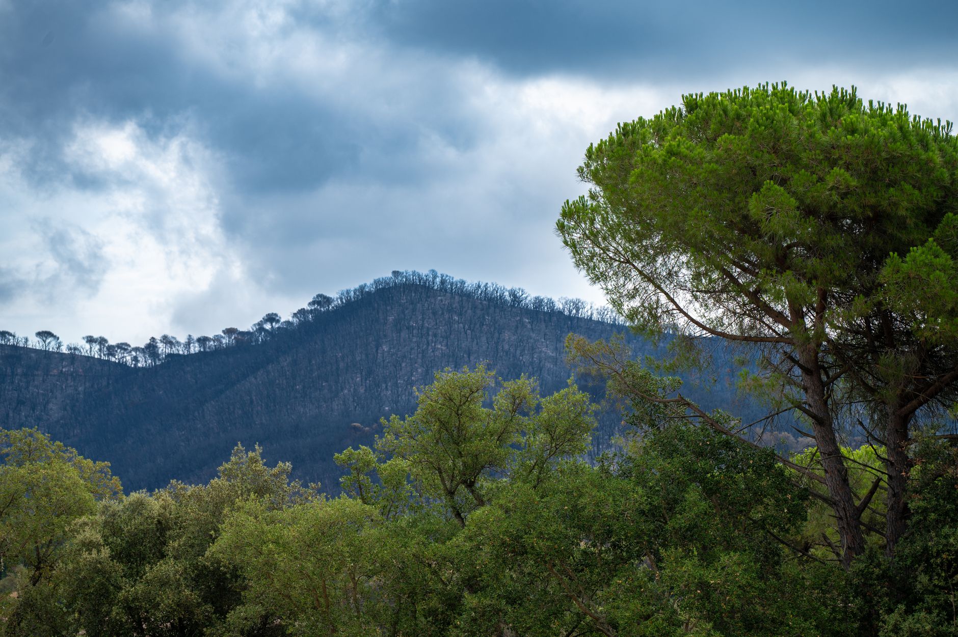 Bomberos controlan incendio en Peñíscola que afectó a 34 vehículos cerca de observatorio del eclipse