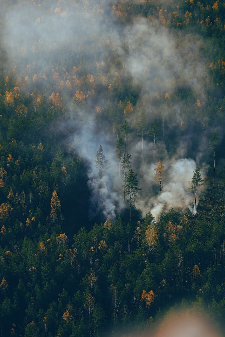 Incendio en Hautes Fagnes arrasa 1.600 hectáreas y moviliza al Ejército belga y la UE