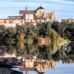 Asaja Córdoba exige a la Junta levantar la prohibición nocturna de cosecha de aceituna en seto
