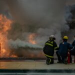 Castilla y León aprueba 1,86 millones en ayudas directas a 339 agricultores quemados
