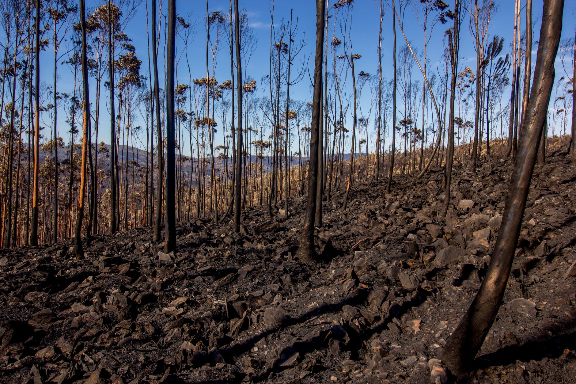Incendio en Aldea del Fresno obliga a evacuar dos municipios con 25 medios desplegados