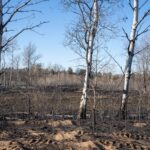 Incendio en la isla griega de Salamina causa al menos dos muertos y nueve heridos