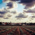 La Rioja destina 1,4 millones a infraestructuras agrarias en 41 municipios rurales