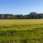 Agricultores de Castilla y León exigen 150 millones y marchan este jueves contra la Junta