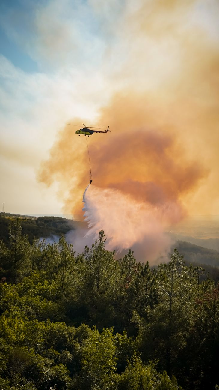 Robles visita al BIEM IV de la UME en una de las peores campañas forestales de España Robles visita al BIEM IV de la UME en una de las peores campañas forestales de España