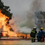 Más de 22.000 firmas exigen a Castilla y León y Madrid prohibir la caza en zonas quemadas