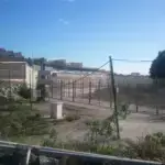 El CNI no avisó a tiempo a Pérez Triana de la crisis migratoria