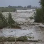La jueza de la DANA cita a Pradas y Argüeso hasta 2027 La jueza de la DANA cita a Pradas y Argüeso hasta 2027