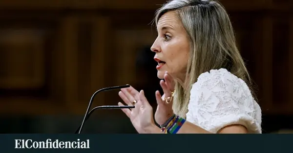 PSOE y PNV se abstienen y bloquean la ley de vivienda