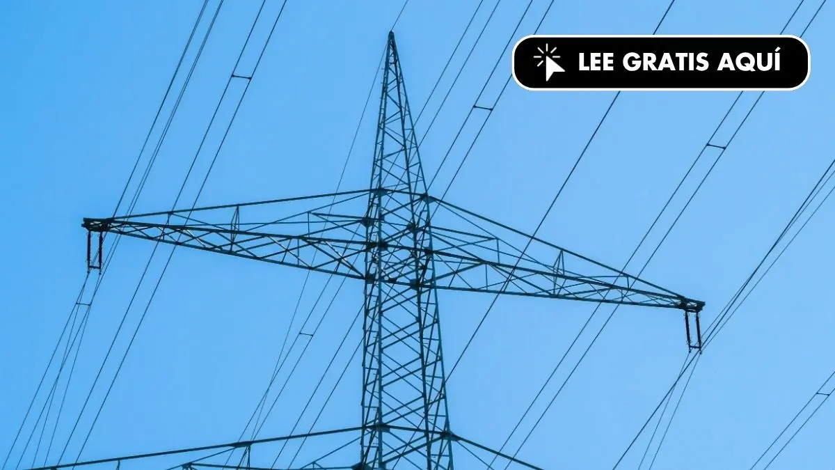 El Gobierno destina 17.000 millones a redes eléctricas