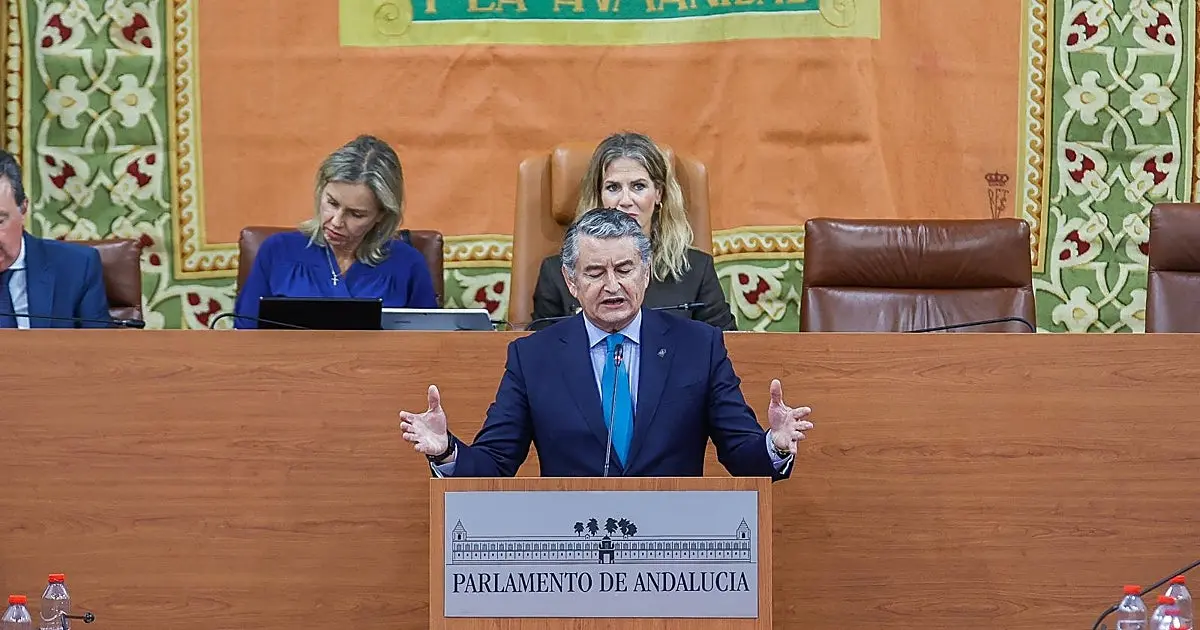 Sanz defiende su gestión de incendios