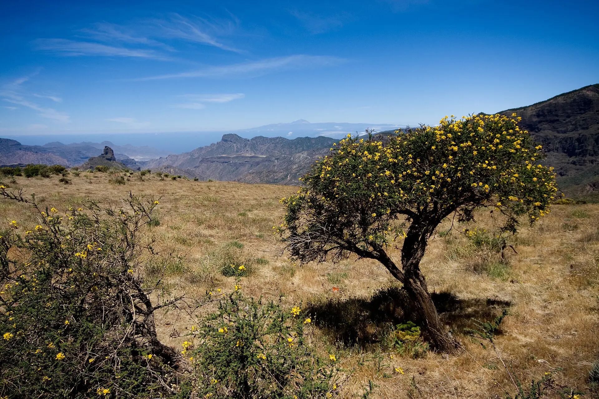 Naufragio en la Ruta Canaria: 3 muertos y 1 crítico