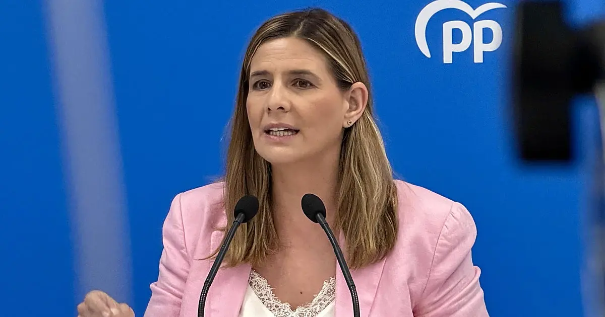 Agudo reta al PSOE a explicar los 'chanchullos' de Bono y Pardo