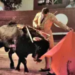 Ana Abellán denuncia el deterioro del Parque de la Vega en Toledo tras invertir 3,2 millones