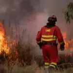 Andalucía crea comisión permanente contra incendios y Sánchez destina 50% a restaurar Niebla Andalucía crea comisión permanente contra incendios y Sánchez destina 50% a restaurar Niebla