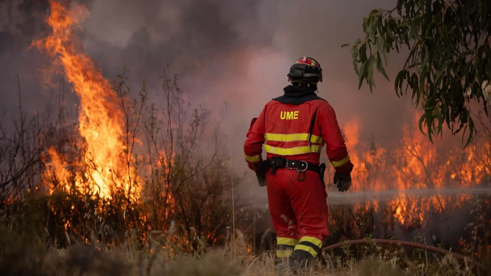 Andalucía crea comisión permanente contra incendios y Sánchez destina 50% a restaurar Niebla