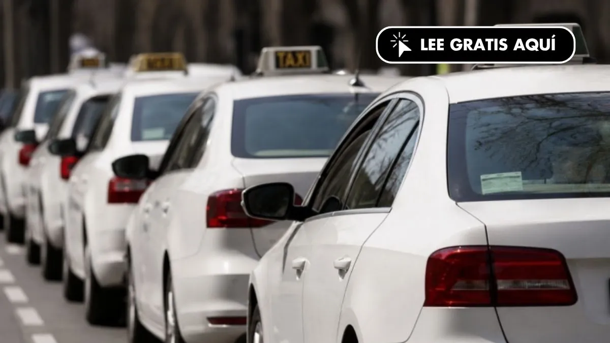 La DGT obliga a taxistas a usar cinturón: multa de 200 euros y 4 puntos desde octubre