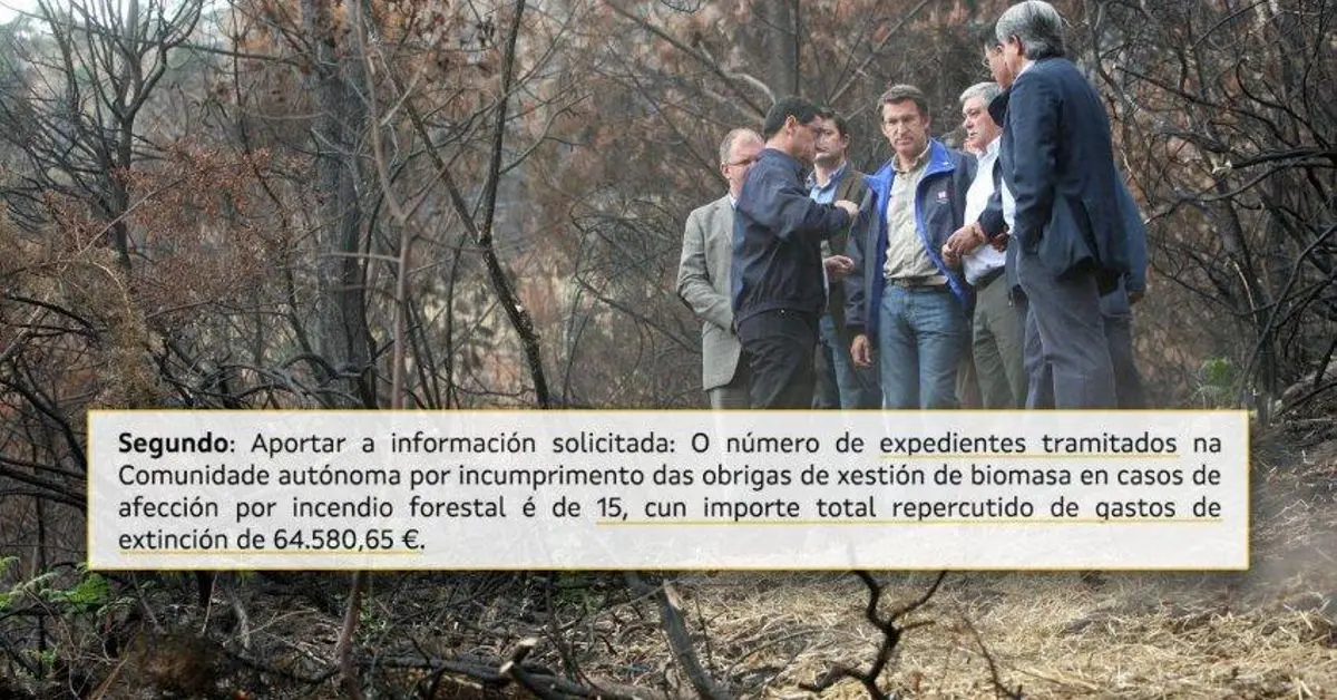 Feijóo aprueba ley que obliga a pagar extinción de incendios