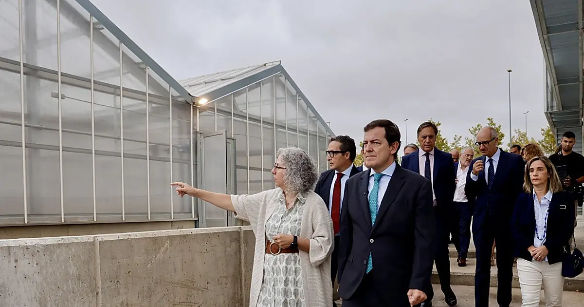 Mañueco denuncia bajada de resultados PISA y culpa al Gobierno