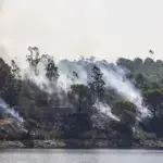 Andalucía pide al Gobierno cubrir el 50 % del incendio de Niebla Andalucía pide al Gobierno cubrir el 50 % del incendio de Niebla