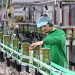 IU pide al Gobierno que frene la venta de Deoleo a un fondo extranjero