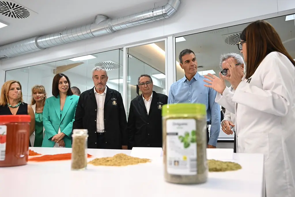 Defensa tendrá solo 10 días para revelar comunicaciones secretas de Rota y Morón (2024-2026)
