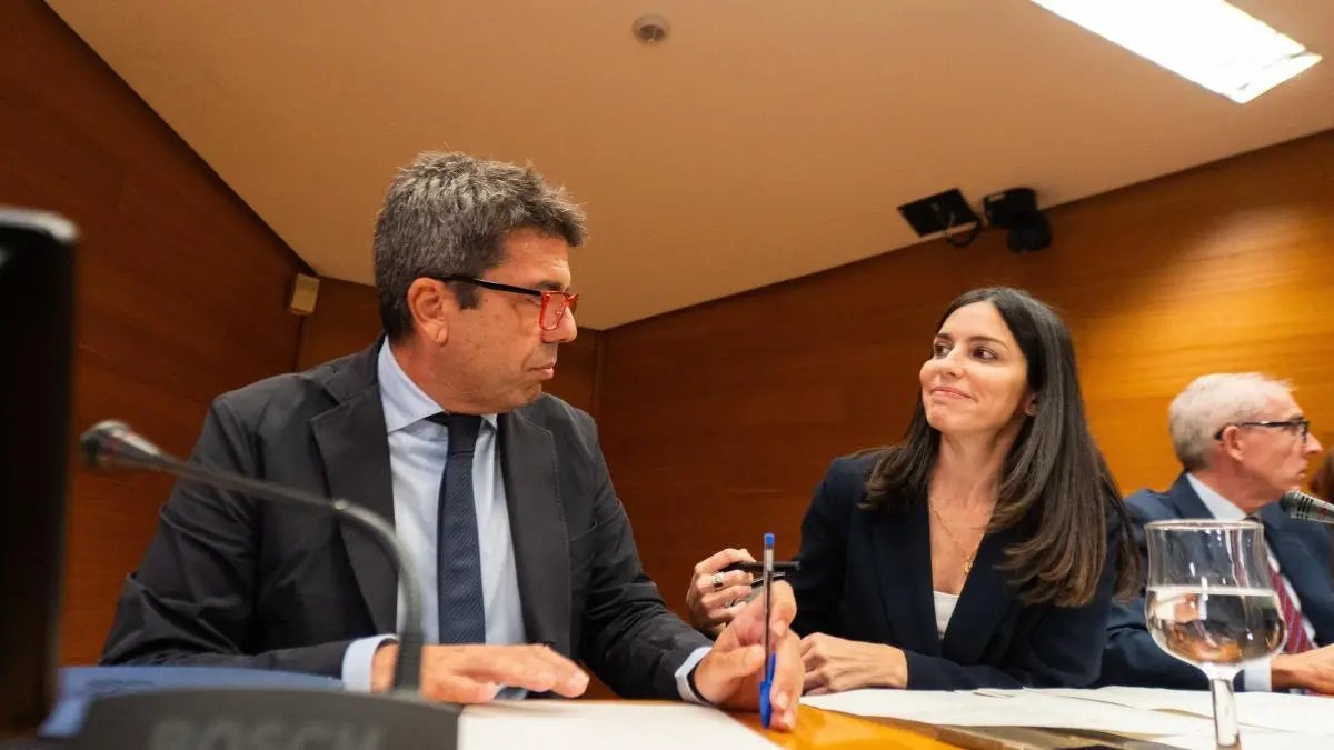 El PSPV recurre al Constitucional para anular el dictamen de la dana en las Corts Valencianas