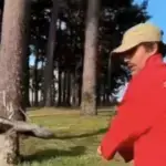 Álvaro Rodiño dimite tras vídeo de TikTok: golpear con palo de golf a niños huérfanos