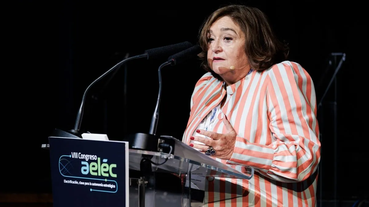 Aelec pide igualar los impuestos de la luz y los combustibles fósiles