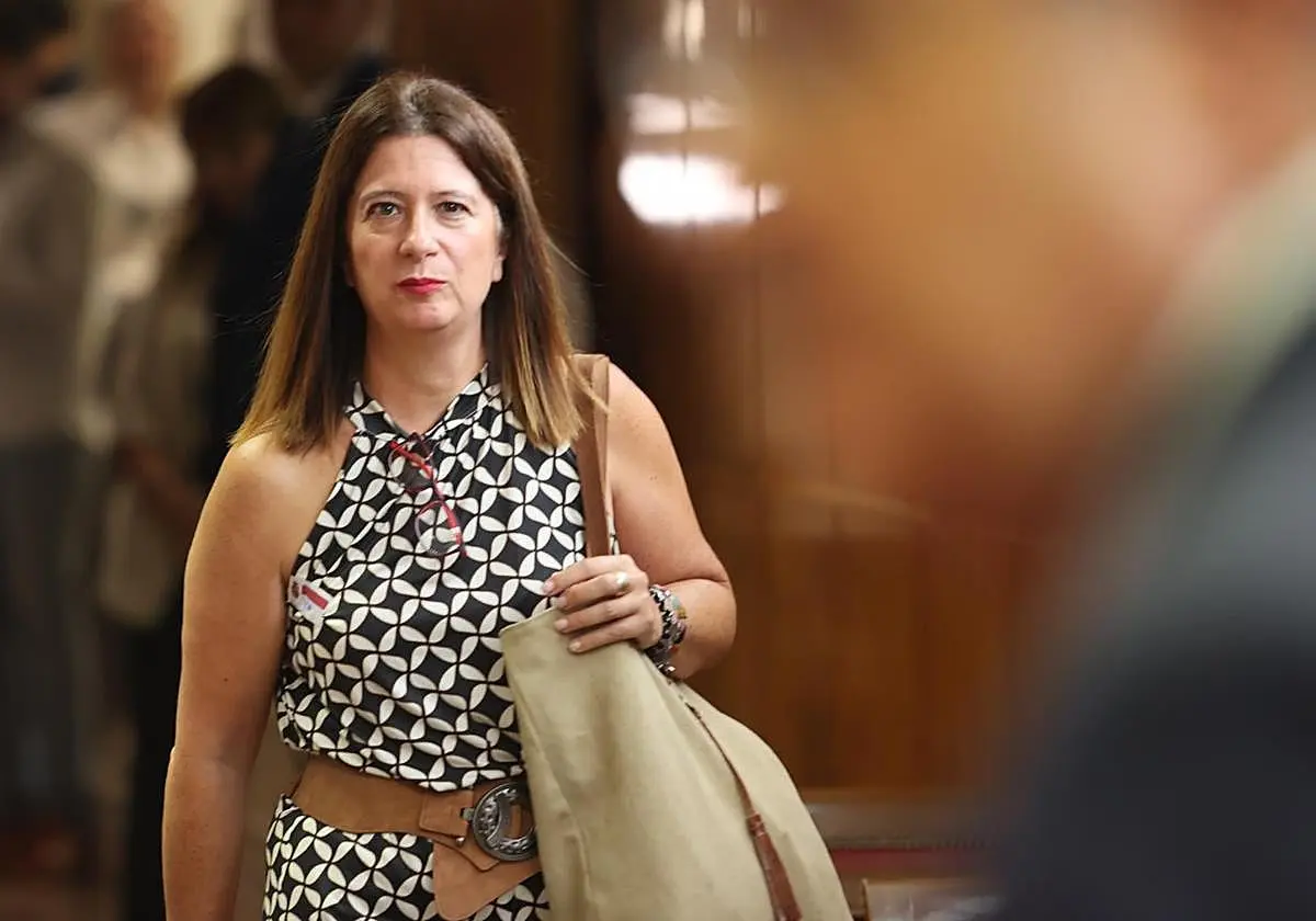 Leire Díez pide al juez Pedraz anular la personación de Beatriz Biedma