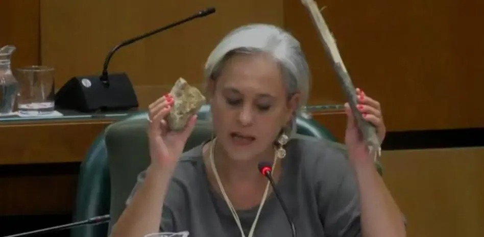 Marisa Gaspar muestra palo y piedra en pleno del Ayuntamiento de Zaragoza