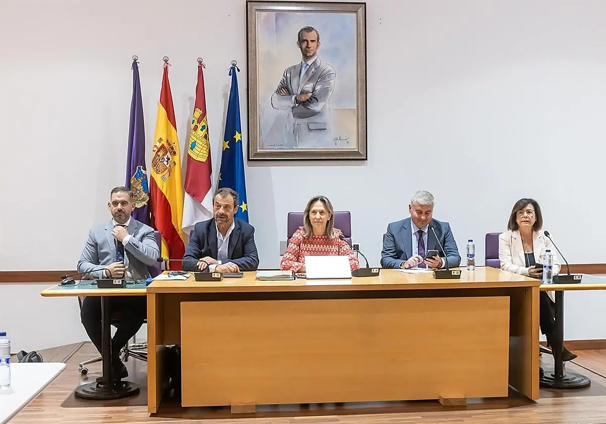 Alberto Rojo abandona el pleno municipal para votar decretos de vivienda