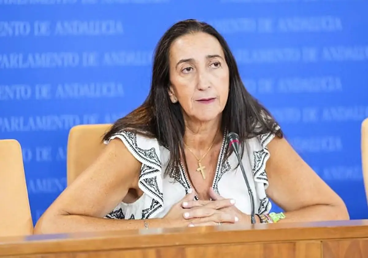 Vox pregunta en el Senado por los beneficiados del 'sí es sí' en Andalucía